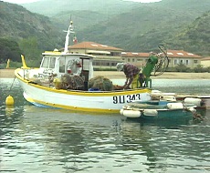 Campese mit Fischerboot